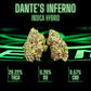 Legal Leaf Exotic THCA Flower: Dantes Inferno