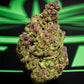 Legal Leaf Exotic THCA Flower: Trop Cherry